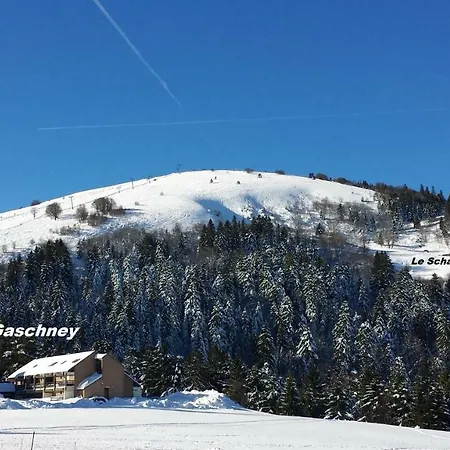 Les Hauts Du Gaschney
