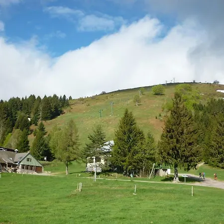 Апартаменты Les Hauts Du Gaschney Мюльбах-сюр-Мюнстер