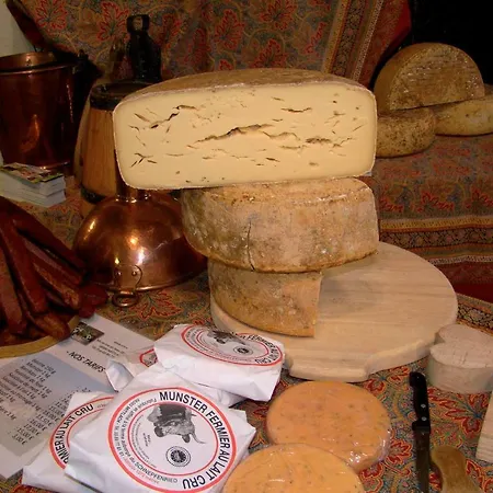 Les Hauts Du Gaschney * Мюльбах-сюр-Мюнстер