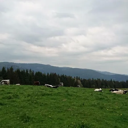 Апартаменты Les Hauts Du Gaschney