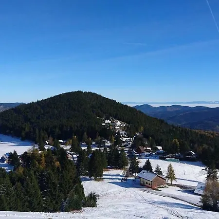 Апартаменты Les Hauts Du Gaschney