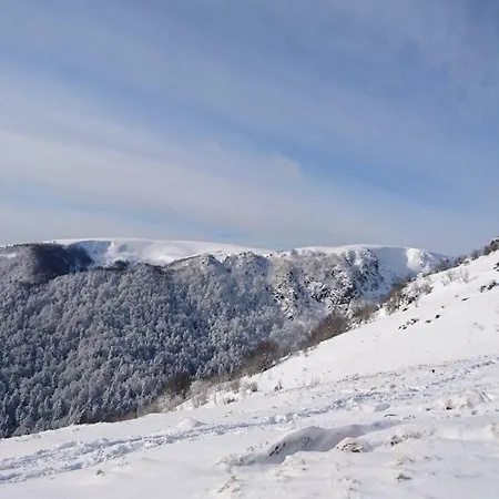 Апартаменты Les Hauts Du Gaschney Мюльбах-сюр-Мюнстер