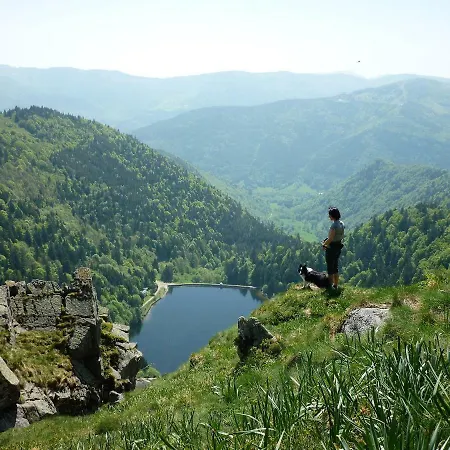 Les Hauts Du Gaschney Апартаменты