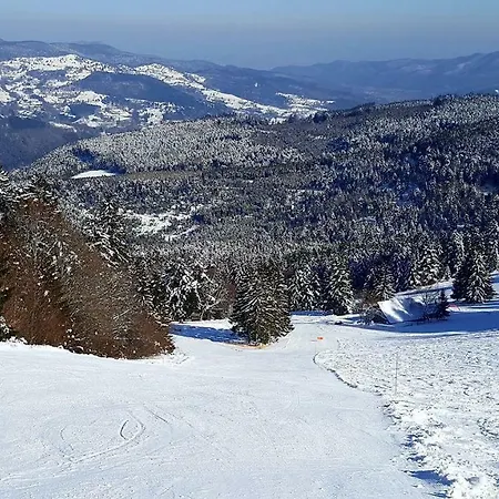 Les Hauts Du Gaschney Апартаменты Мюльбах-сюр-Мюнстер