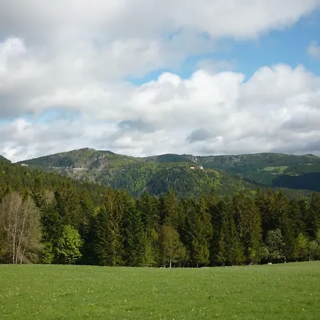 Les Hauts Du Gaschney Апартаменты Мюльбах-сюр-Мюнстер