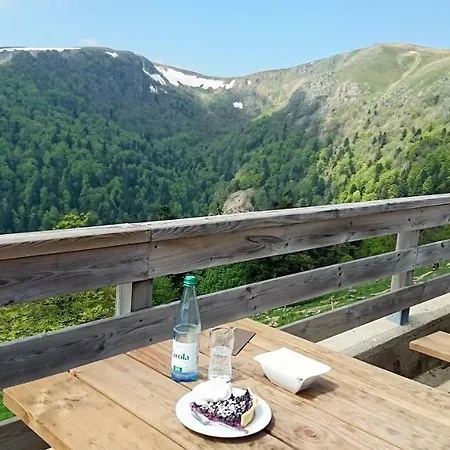 Les Hauts Du Gaschney Мюльбах-сюр-Мюнстер