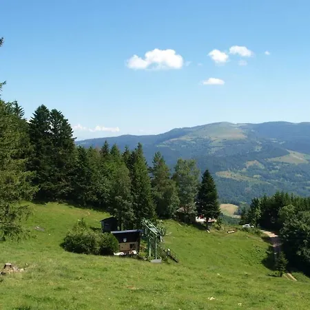 Les Hauts Du Gaschney Мюльбах-сюр-Мюнстер